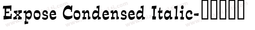 Expose Condensed Italic字体转换